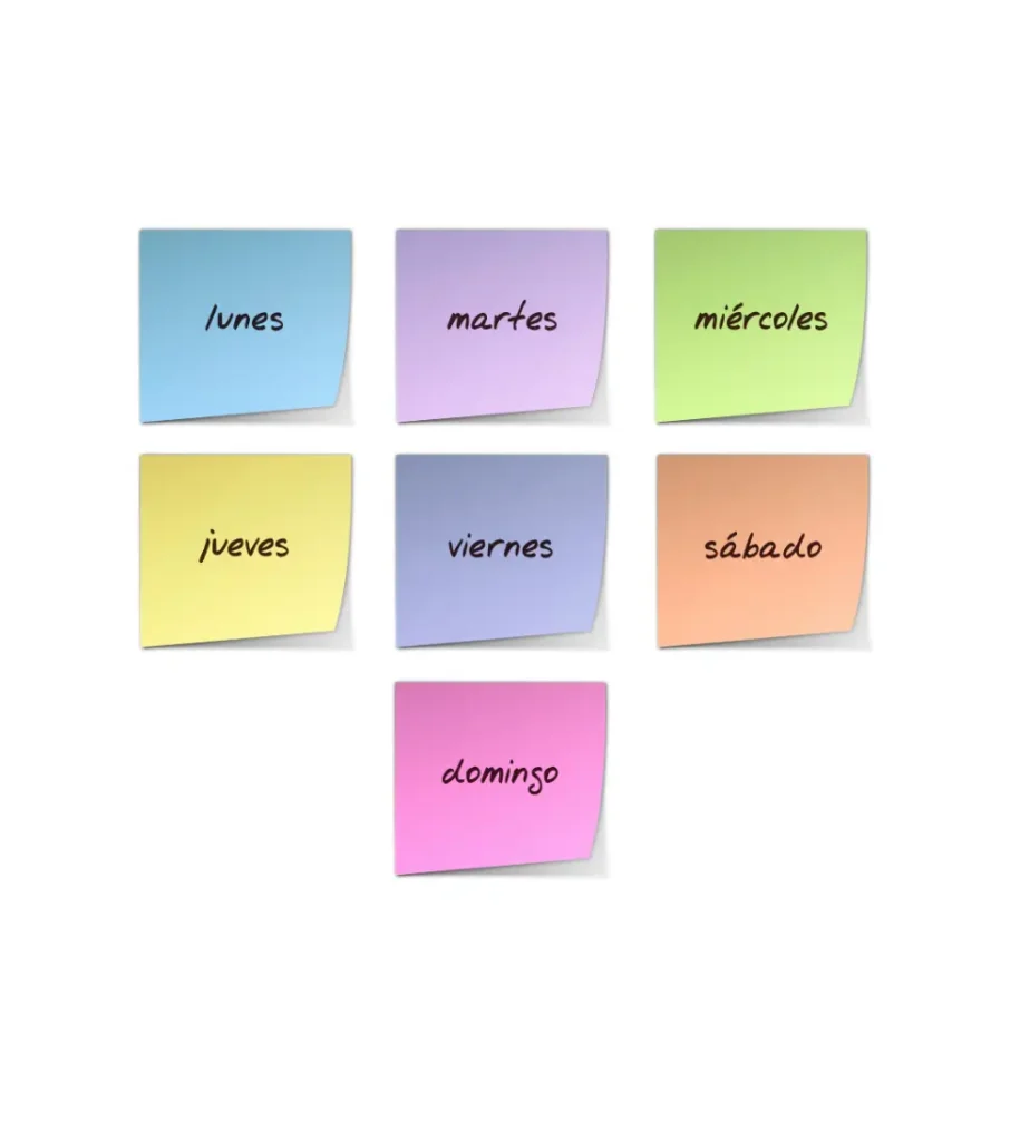 Soporte online diario